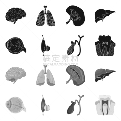 人,计算机图标,品牌名称,健康保健,平滑的,图表,收集,设计,思考