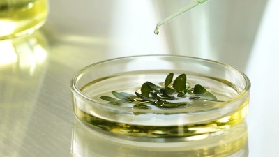 科学家向植物混合物中加入几滴试剂，实验缓慢进行