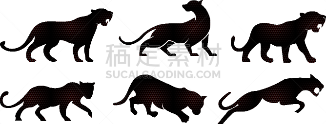 美洲豹,动作,虎,摆拍,图像,彪马,哺乳纲,动物,矢量,站