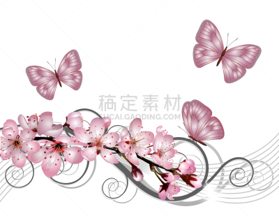粉色,花朵,樱桃,枝,樱之花,分离着色,白色,自然,花,装饰
