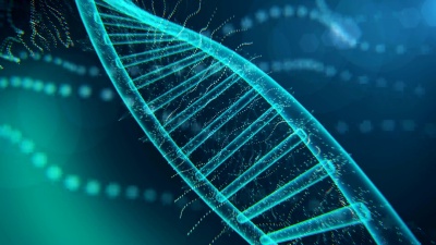 DNA分子 