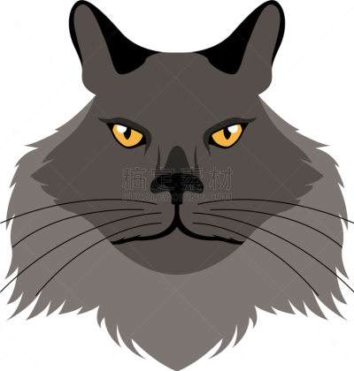 尚蒂伊,蒂凡尼公司,猫,头像,白色,可爱的,性格,友谊,宠物,图像