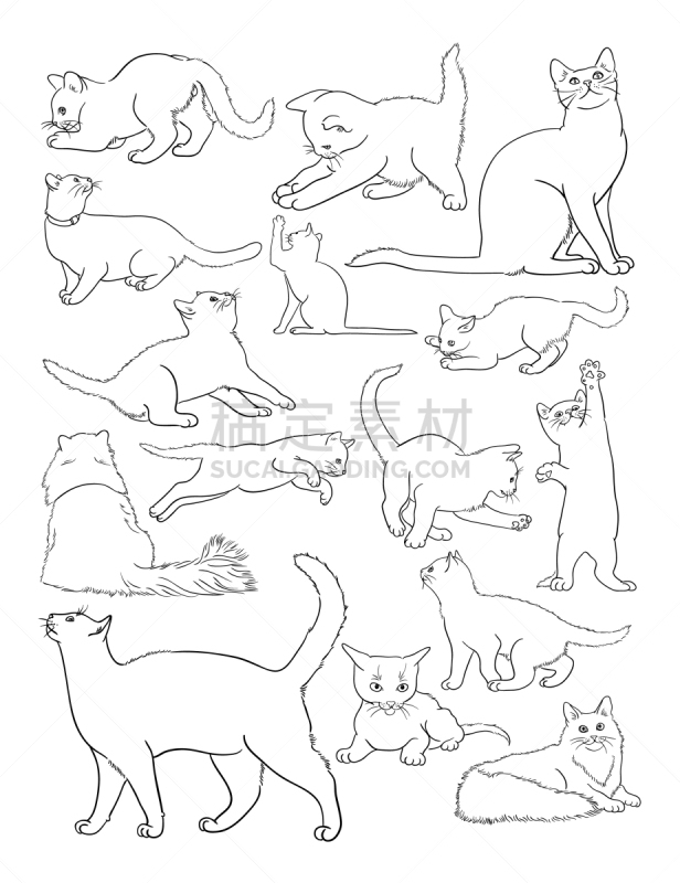 猫,线条画,形状,轮廓,白色,黑色,斑纹猫,可爱的,性格,收集