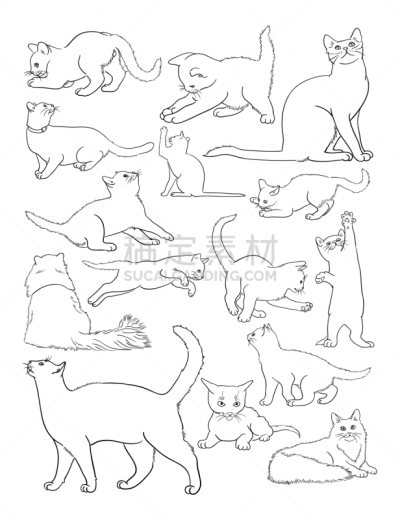 猫,线条画,形状,轮廓,白色,黑色,斑纹猫,可爱的,性格,收集