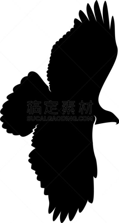模板,品牌名称,鹰,国内著名景点,运动,野生动物,翅膀,设计