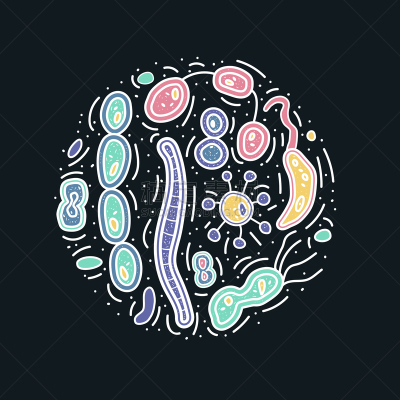 细菌,生物学,酸,微生物学,一个物体,植物群,枯草芽孢杆菌,草图