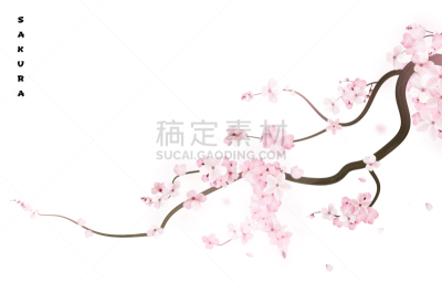 日本,樱之花,樱桃,枝,夏天,春天,三维图形,白色,写实,日落