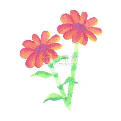 red watercolor flowers with stalk