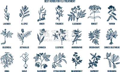 草本,药,生物学,熏衣草,有机食品,自然,健康保健,胡芦巴,多香果粉