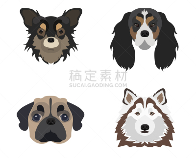 狗,图标,平坦的,分离着色,可爱的,白色,宠物,纯种犬,梗犬,收集