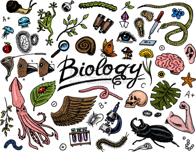 生物学,科学,实验室,图标集,健康保健,显微镜,技术,分子,设备用品