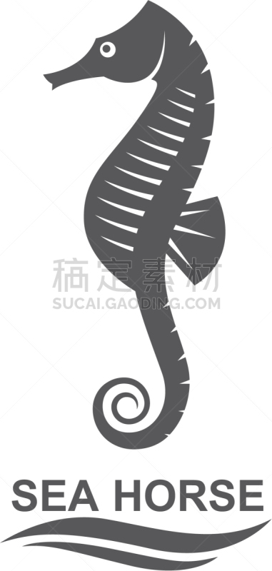 海马,分离着色,生物学,自然,海产,海洋,船,动物,装饰