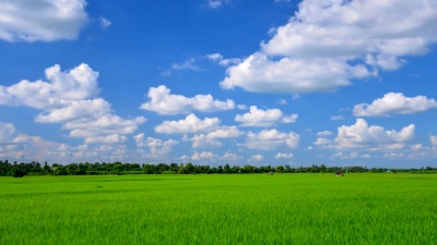 背景移动云农场美丽的时间流逝。