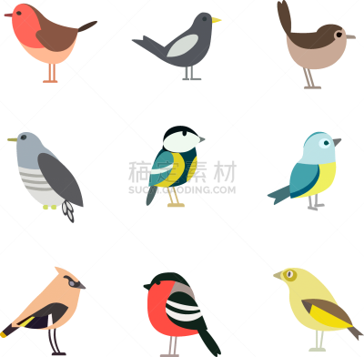 鸟类,式样,白色,可爱的,数字9,图像,翅膀,艺术,小的,坐