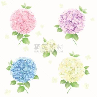 八仙花属,四方连续纹样,背景,矢量,贺卡,请柬,纺织品,浪漫,泰国,简单