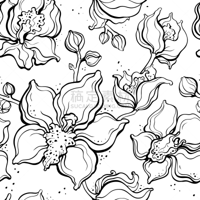 兰花,花纹,华丽的,自然,纺织品,图像,花朵,自然美,花瓣,叶子