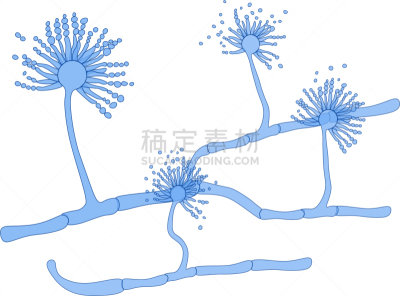洒水器,湿,不卫生的,卫生,泰国,图像,损坏的,肮脏的,无人,过敏