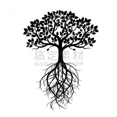 白色,古老的,根部,生物学,华丽的,清新,壁纸,公园,春天,树