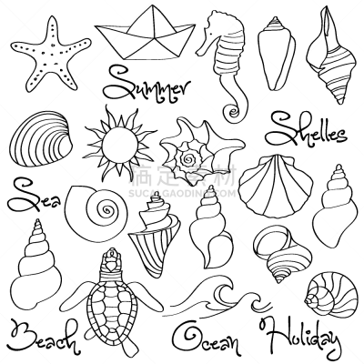 贝壳,海洋,乱画,天气,轮廓,图像,矢量,海马,海星,绘制