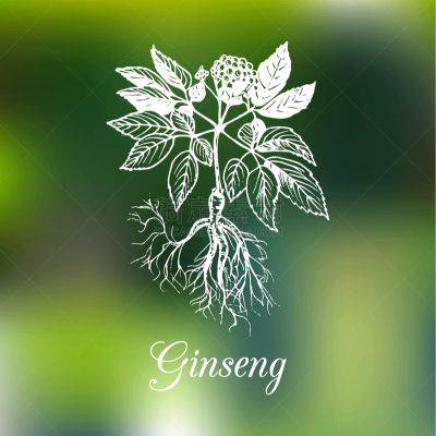 Ginseng,前景聚焦,运动模糊,草本,图像,花朵,枝,化妆用品,花头,瘦身