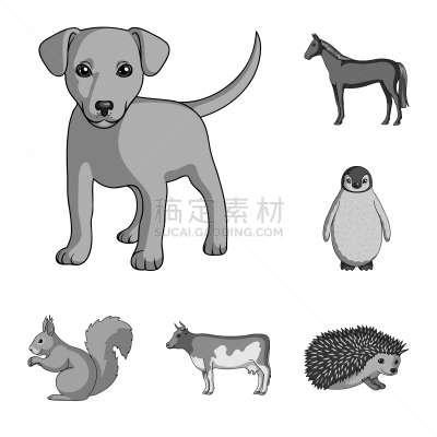 动物,计算机图标,纯种犬,狗,哺乳纲,鸟类,品牌名称,蜘蛛网,啮齿目,写实