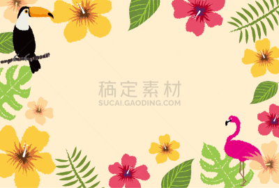 绘画插图,图像,南,非都市风光,饮料,热,太平洋岛屿,新婚夫妇,巨嘴鵎鵼,首里城