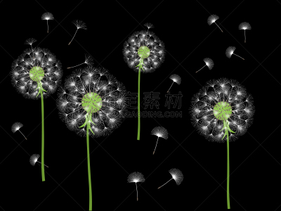 抽象,背景,过敏反应,清新,风,蒲公英,草,品牌名称,吹,花