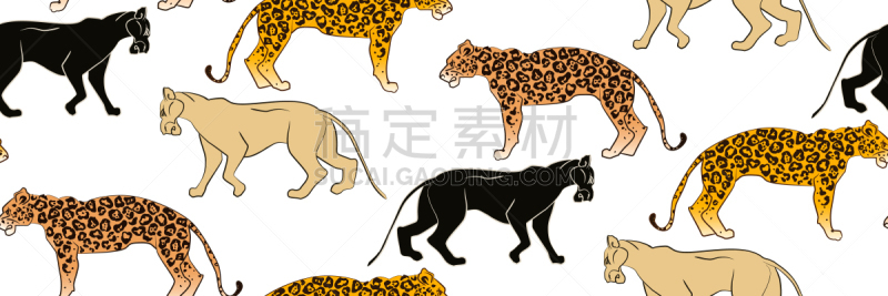 野生猫科动物,背景,巨大的,纺织品,哺乳纲,动物,动物皮,热带树,雨林,非洲人