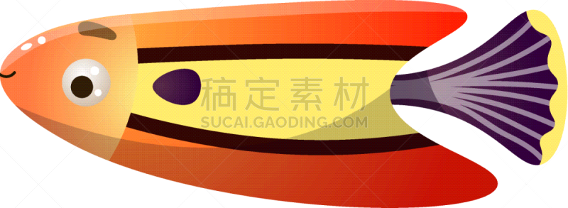塔法里教教徒,礁石,鱼类,红色,紫色,鳍,可爱的,环境,野生动物,小的