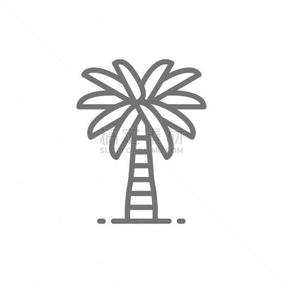 线图标,椰子树,商务,环境,植物,蜘蛛网,节日,夏天,轮廓