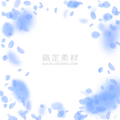 花瓣,深蓝,非凡的,分离着色,白色,请柬,粉色,落下,庆祝,爱