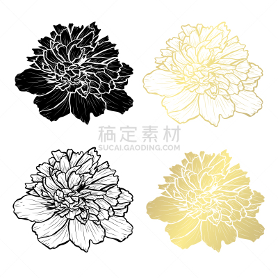 黄金,请柬,事件,周年纪念,植物群,婚礼,春天,插花,问候,排列