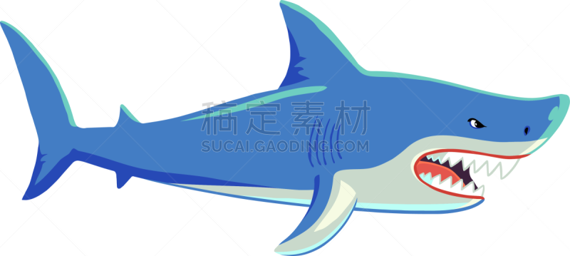 鲨鱼,张着嘴,白色背景,尖牙,尖利,暴力,图像,海洋,生物,动物