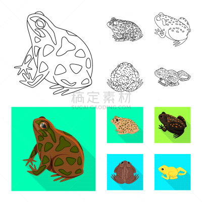 野生动物,标志,藓沼,生物学,有毒物质,灰色,青蛙,动物,牛蛙,两栖纲
