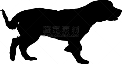 狗,斯班尼犬,白色背景,纯种犬,雪,哺乳纲,动物,吠声,剪影,训练
