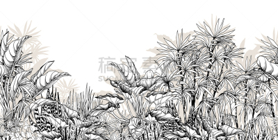 叶子,热带的边界,黑白图片,法国,热带气候,环境,杂色的,枝繁叶茂,四方连续纹样,春天