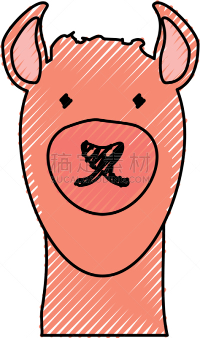 美洲驼羊,分离着色,白色,自然,动物园,斑马,条纹,非洲,热带雨林,野生动物
