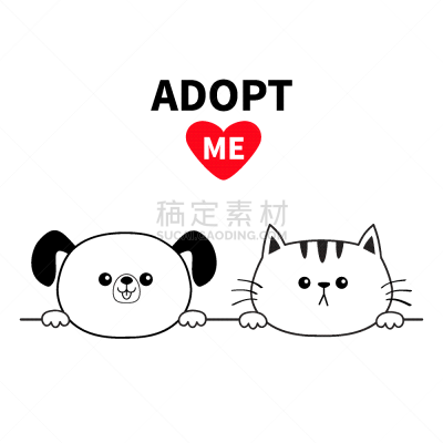 狗,缅因州,拿着,猫,爪子,似人脸,动物手,动物头,可爱的,爱