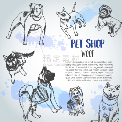 狗,草图,动物手,可爱的,纯种犬,传单,肖像,模板,动物,绘制