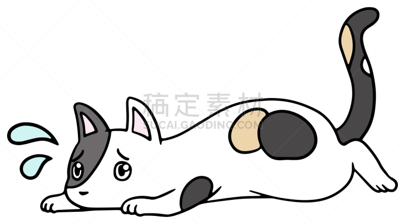 矢量,绘画插图,猫,惊骇,十二生肖,恐怖,简单,动物,宠物商店