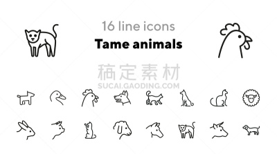 驯养动物,动物,图标集,线条,农业,可爱的,商务,背景分离,环境,天气