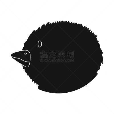 兔子,品牌名称,似人脸,黑色,自制的,农业,宠物,收集,设计