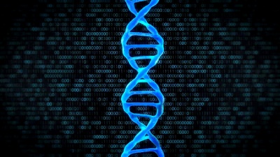  -DNA人类代码-无缝环路-库存视频