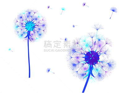 抽象,背景,白色,过敏反应,清新,花朵,蒲公英,设计,吹,装饰