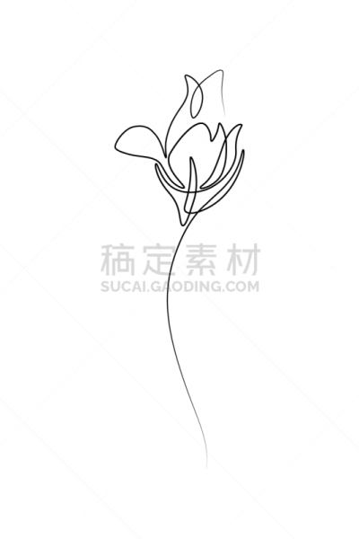 花蕾,线条,一个物体,背景分离,简单,植物,草图,乱画,轮廓