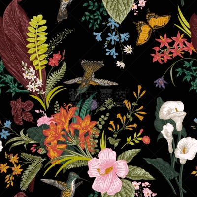矢量,花纹,华丽的,热带气候,复古风格,马蹄莲,鸟类,四方连续纹样,复古,花