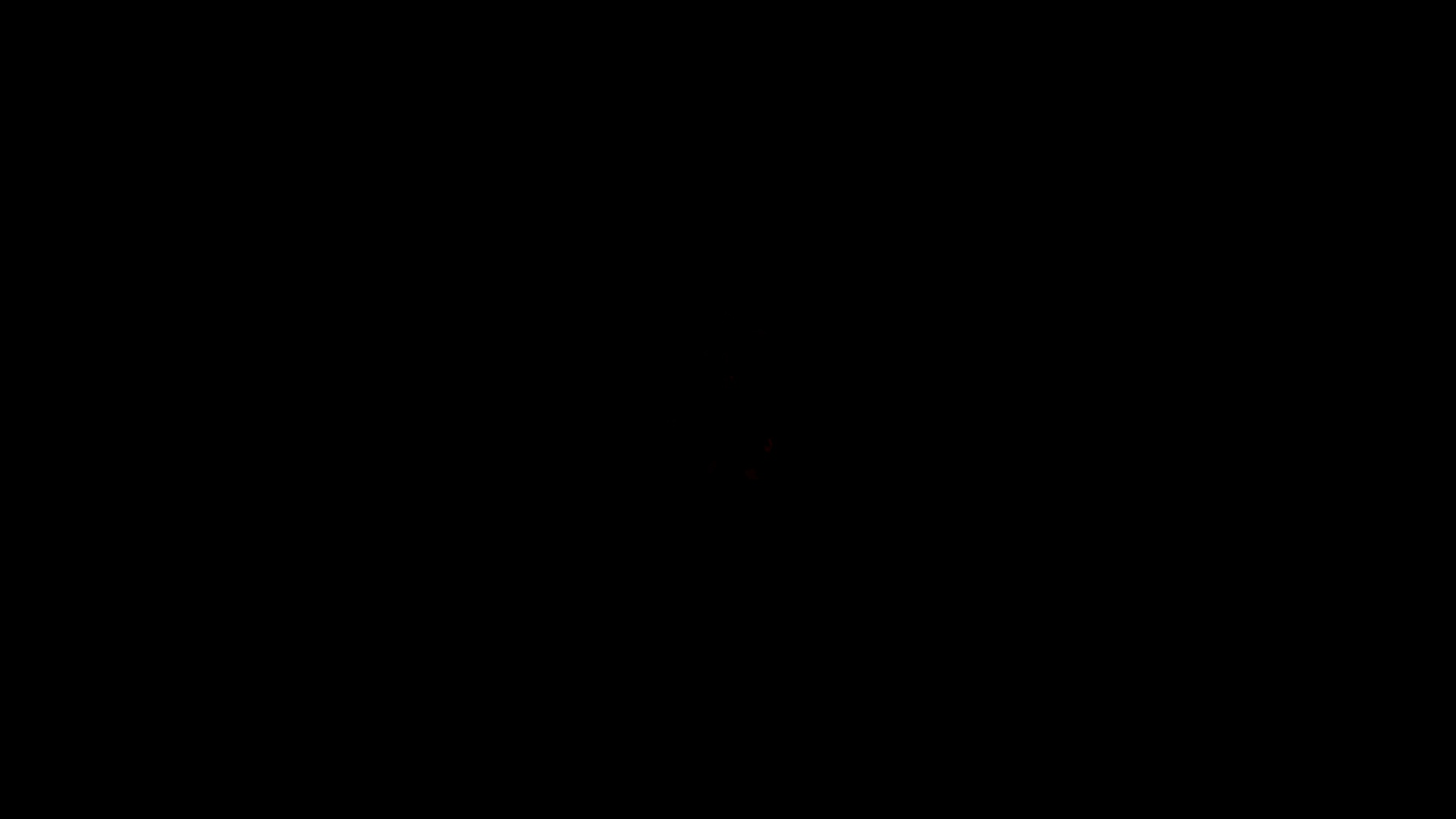 粉心情人节符号吹螺旋圆形图案循环动画 在黑色背景上，带有alpha通道
