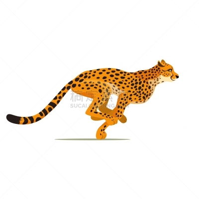 猎豹,动物,非洲,危险,美洲豹,矢量,野外动物,野生动物,迅速,哺乳纲