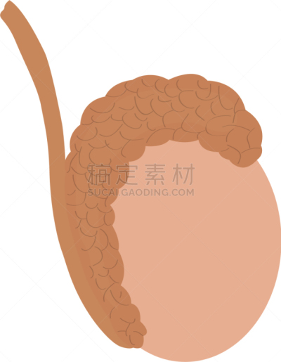 睾丸,人,分离着色,阴囊,男人,概念,顺序,生病