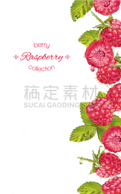 垂直画幅,覆盆子,茶,饮料,农业,菜单,环境,食品,果酱